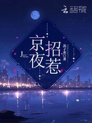 京夜招惹By{author}