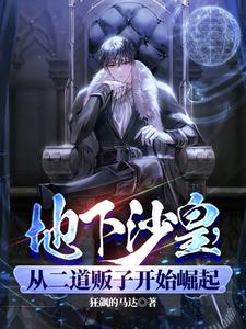 国际头号通缉犯，开始我只想搞钱 By{author}