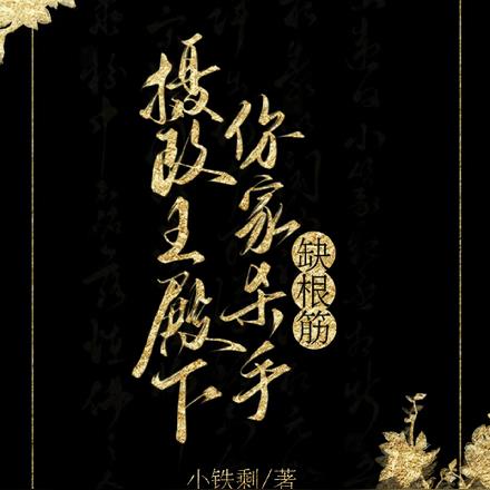 摄政王殿下，你家杀手缺根筋！